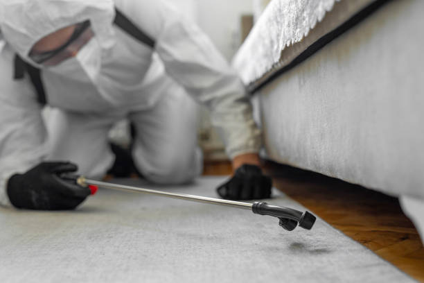Professional Bed Bug Control technician working in DuPont, WA