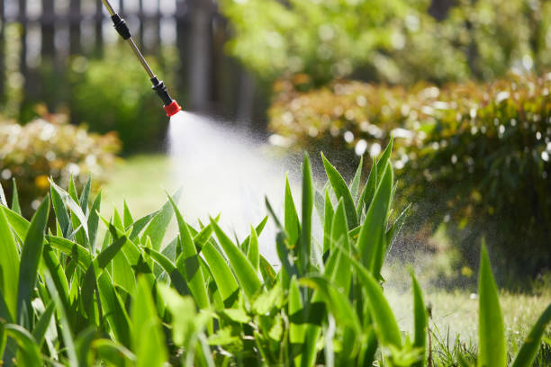 24/7 Emergency Bed Bug Control experts in DuPont, WA