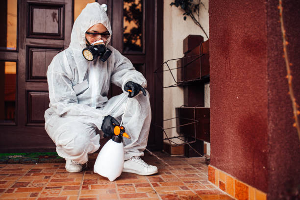 Reliable Bed Bug Control contractor in DuPont, WA by Nex Pest Control