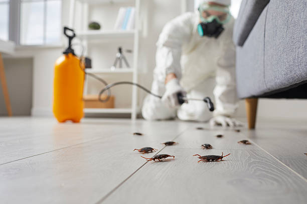 Trusted Rodent Control service in DuPont, WA - Nex Pest Control